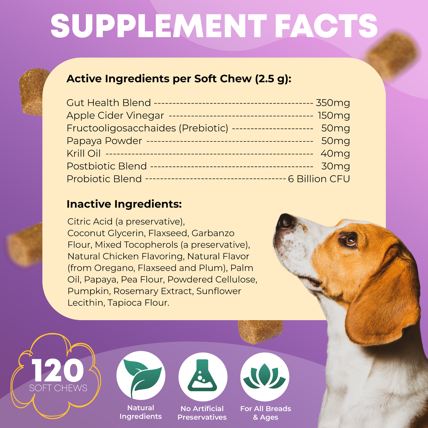 FURRY FUEL Probiotic Chews for Dogs - Chicken Flavor - 120 Chews