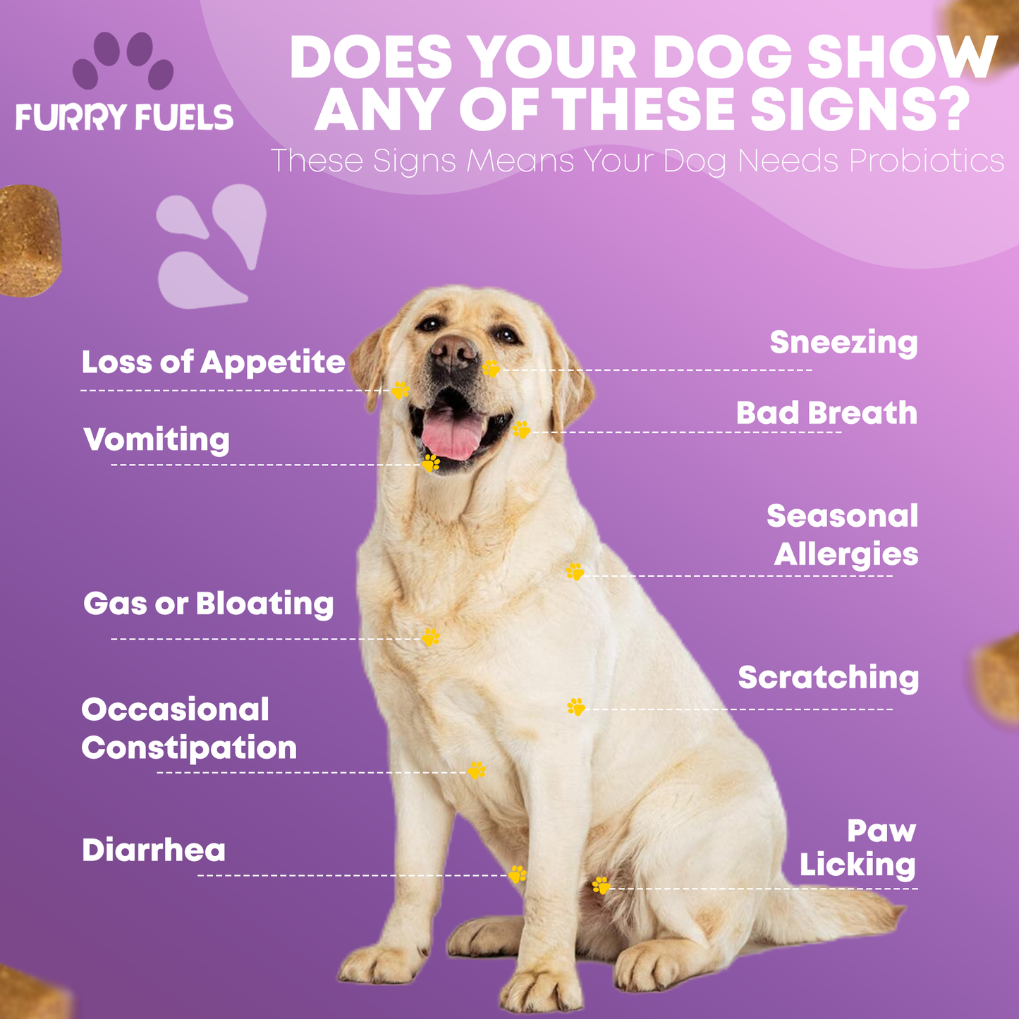 FURRY FUEL Probiotic Chews for Dogs - Chicken Flavor - 120 Chews