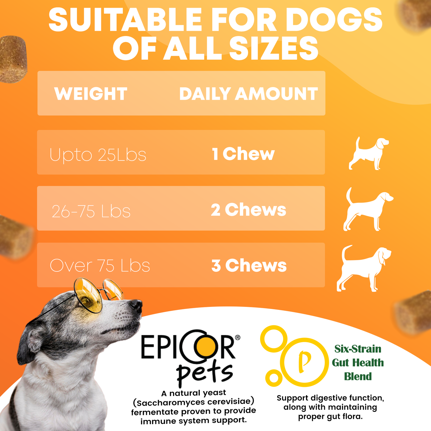 FURRY FUEL Dog Allergy Relief Chews - Chicken Flavor - 120 Count