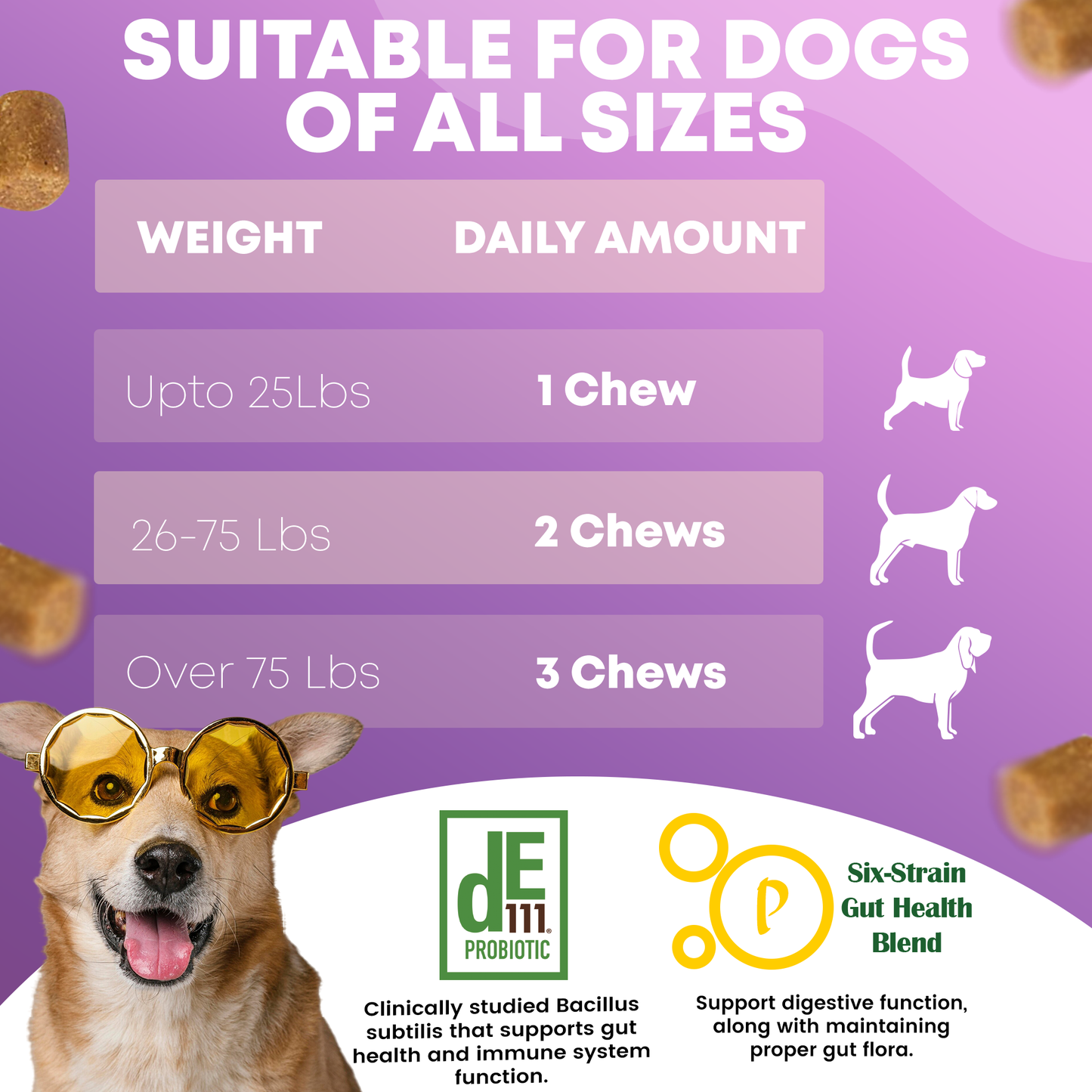 FURRY FUEL Probiotic Chews for Dogs - Chicken Flavor - 120 Chews