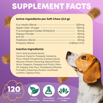 FURRY FUEL Probiotic Chews for Dogs - Chicken Flavor  - 120 Chews