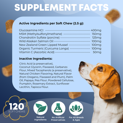 FURRY FUEL Hip & Joint Chews for Dogs - Chicken Flavor - 120 Chews