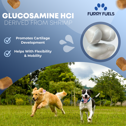 FURRY FUEL Hip & Joint Chews for Dogs - Chicken Flavor - 120 Chews