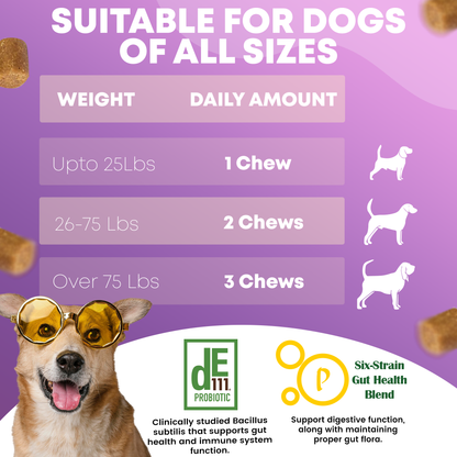 FURRY FUEL Probiotic Chews for Dogs - Chicken Flavor  - 120 Chews