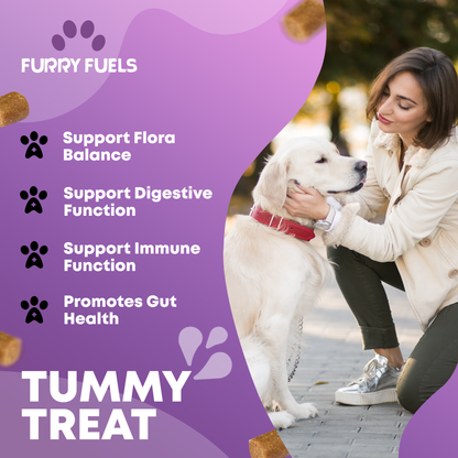FURRY FUEL Probiotic Chews for Dogs - Chicken Flavor  - 120 Chews