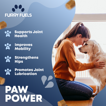 FURRY FUEL Hip & Joint Chews for Dogs - Chicken Flavor - 120 Chews