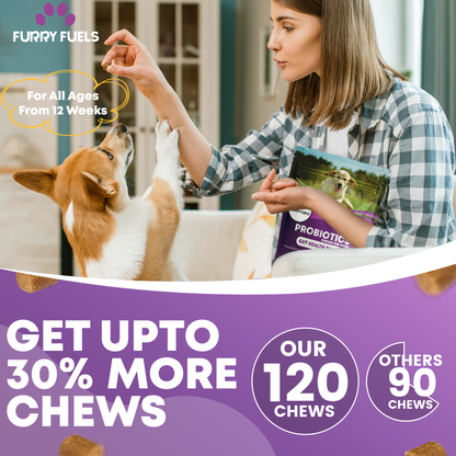 FURRY FUEL Probiotic Chews for Dogs - Chicken Flavor  - 120 Chews